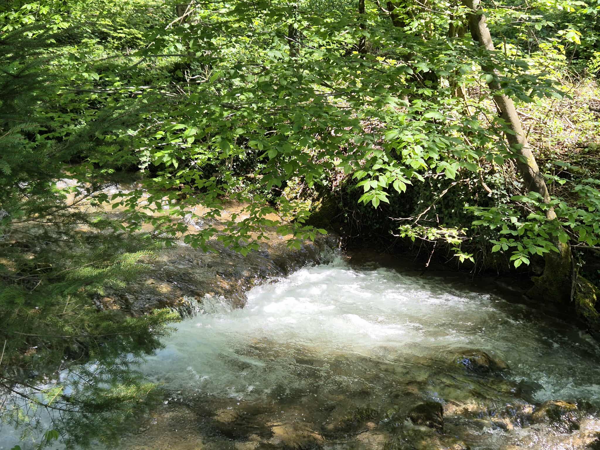 Description of the image
